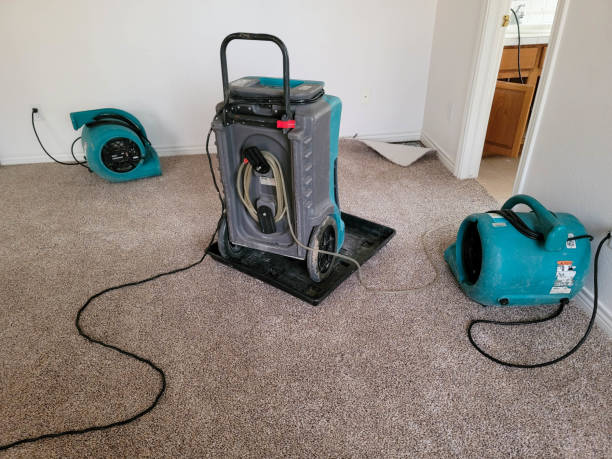 Best Water damage restoration company  in Adair Village, OR