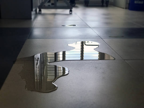 Best Water damage repair service  in Adair Village, OR